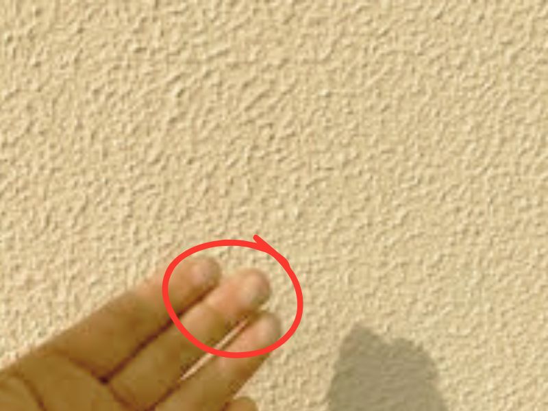 銚子市A様邸現地調査の様子をご紹介！外壁・屋根の状態をしっかりチェック